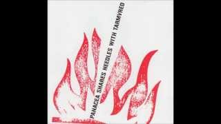 Panacea - Mothership 2