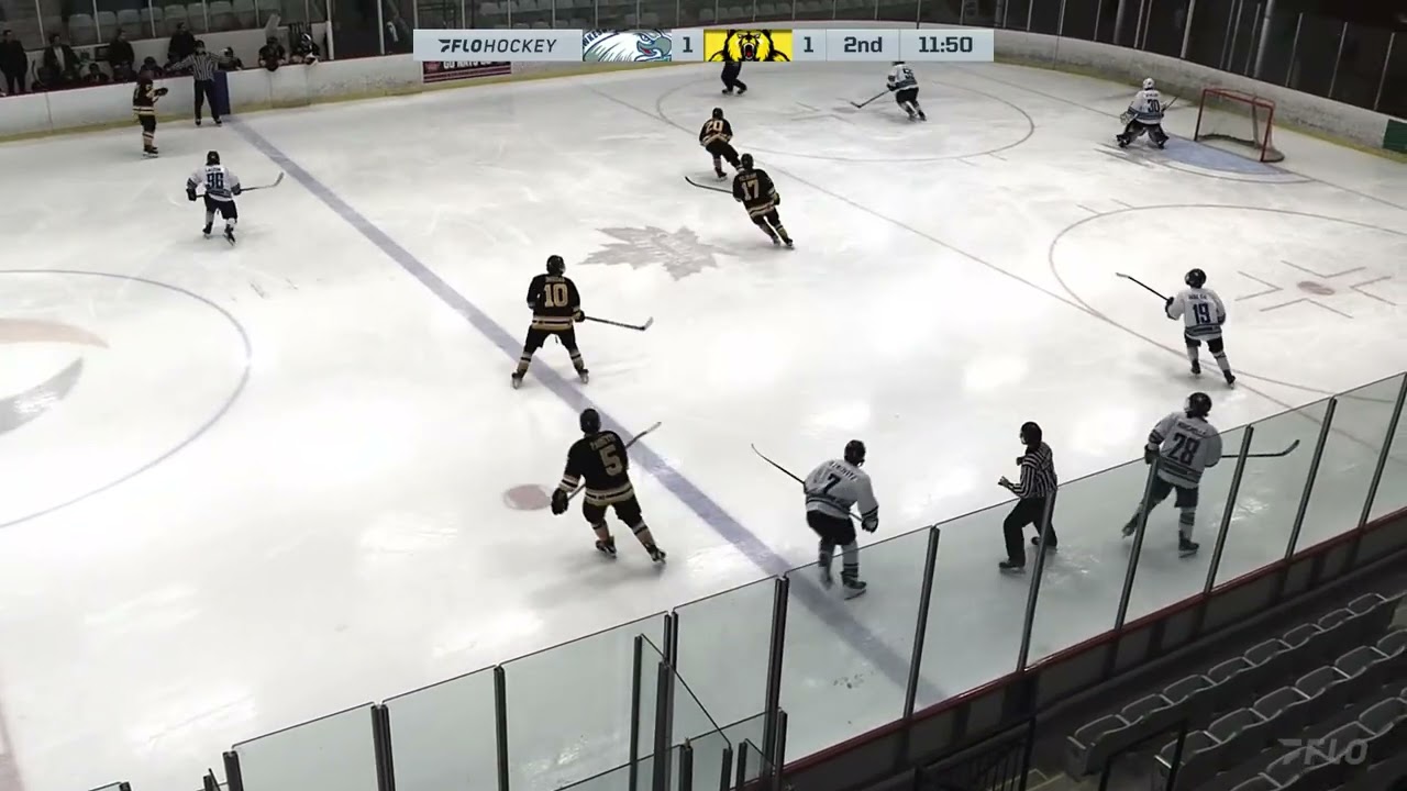 Dylan Michelow (Hawkesbury Hawks) 3-2 Shootout Loss vs Smith Falls Bears. CCHL Gameplay