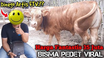 PEDET BISMA JEMBER - PENAWARAN TERAKHIR 33 JUTA BELUM DILEPAS‼️