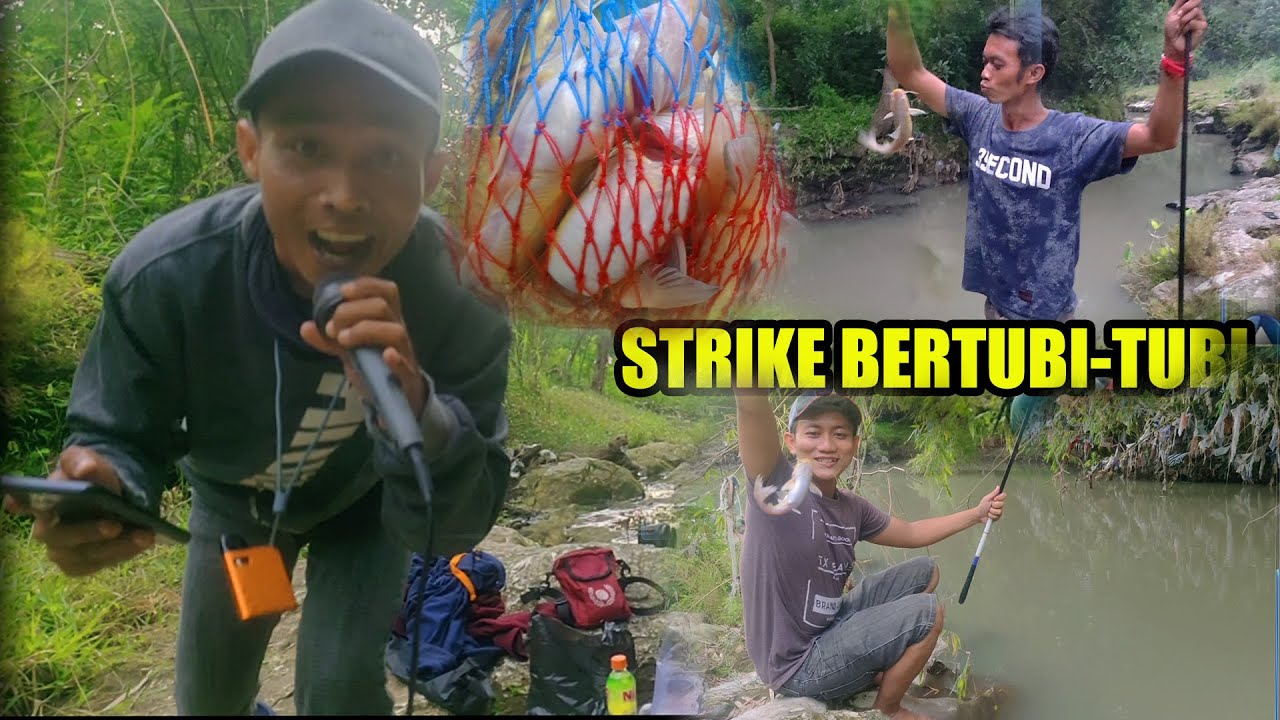 Mancing Santai di Sarang Baung\Sogo