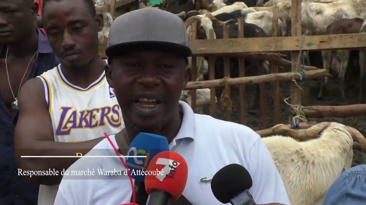 Tabaski 2022 : les marchés à bétail suffisamment approvisionnés