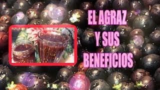 Agraz Propiedades Jugo De Agraz Defensas De Hierro Para Que Sirve Fruta Milagrosa.