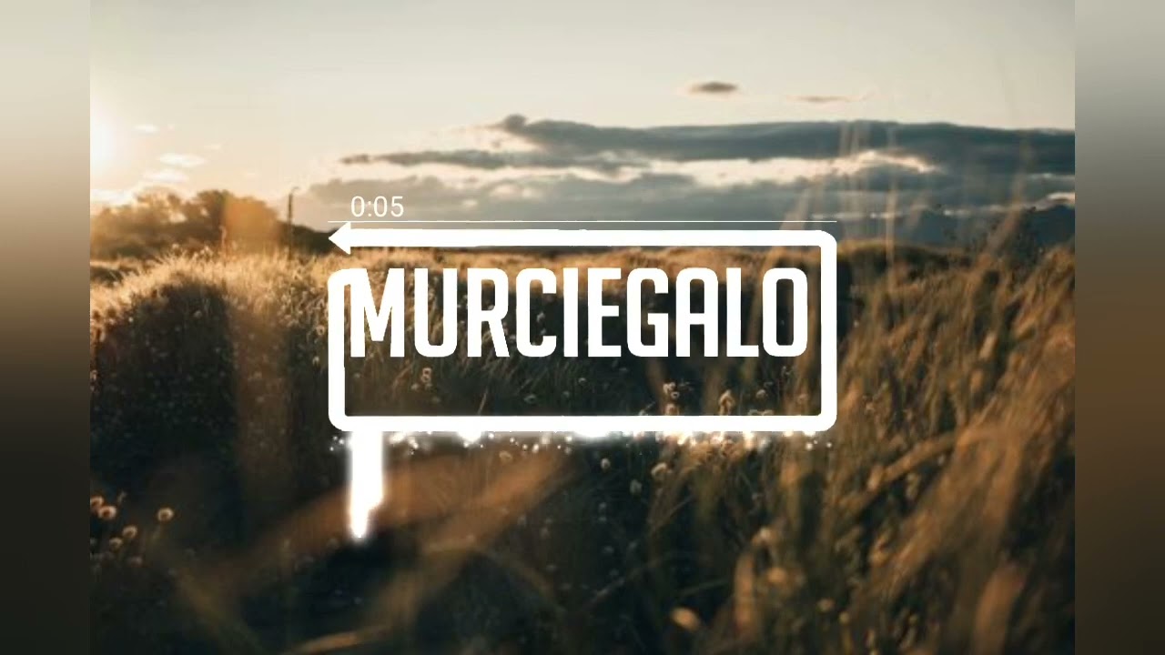 Trap City Avee Player Template | Download