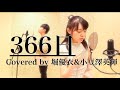 【男女で歌う】366日 (HY) 歌詞付き フルカバー 小豆澤英輝 × 堀優衣