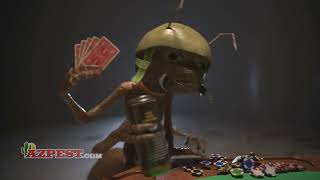 Pests Playing Poker | Arizona Pest Control | Tucson, Arizona