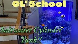 Saltwater Cylinder Tank 😮 by Aquarium Service Tech 2,103 views 3 months ago 12 minutes