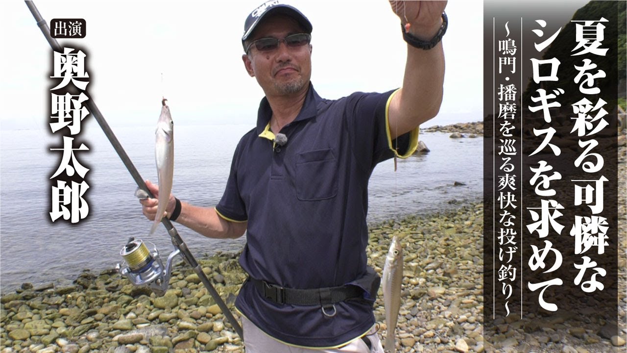#428 夏を彩る可憐なシロギスを求めて～鳴門・播磨を巡る爽快な投げ釣り～