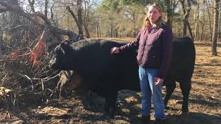 UGA VetCAMP 2018 Application