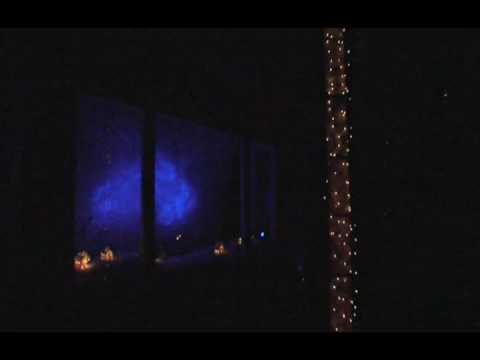 Holiday Light Show 2008