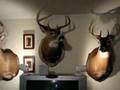 180 Degree Man-Vision - From the Mississippi Man-Cave 180 Degree Man-Vision - From the Mississippi Man-Cave