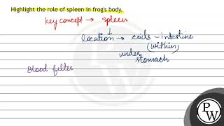 Highlight the role of spleen in frog's body.