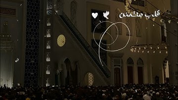 نور التراويح رمضان 2024 | تلاوة مؤثرة