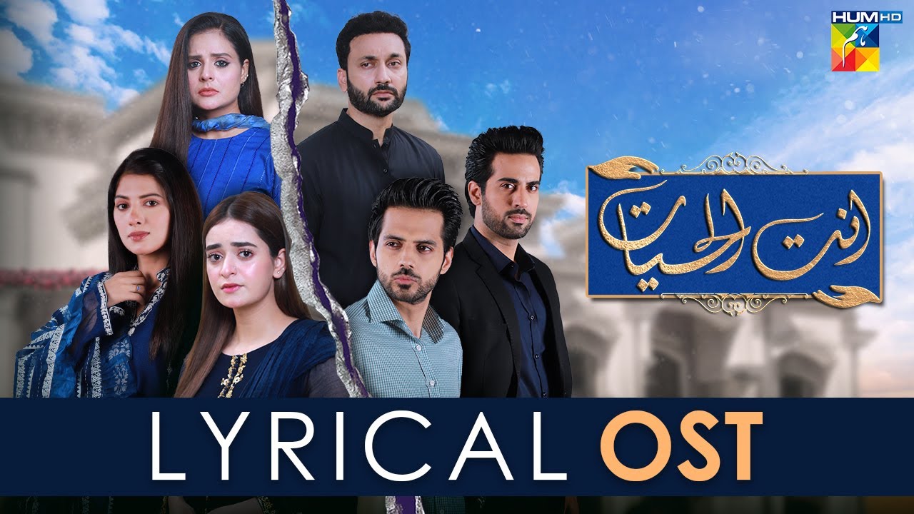 Ant Ul Hayat    Lyrical Ost      Singer  Sibte Hasan   HUM TV