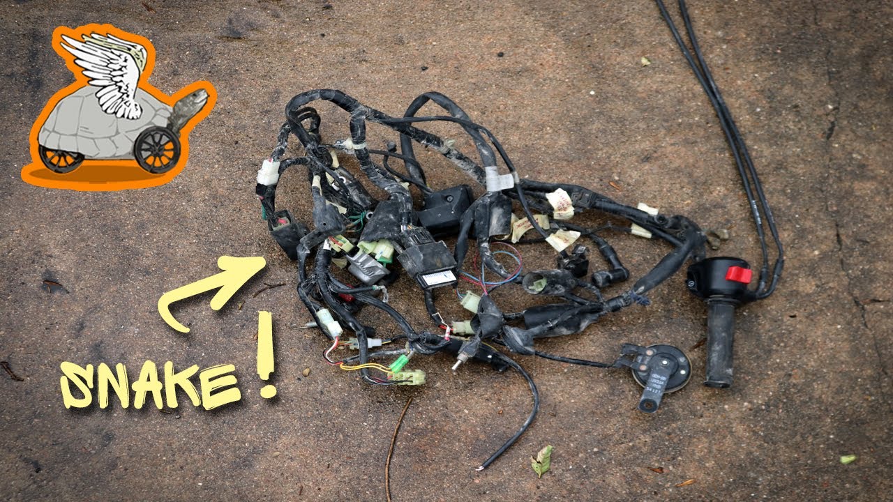 Wire Harness Removal (& some other stuff) Grom Chopper Build E5 YouTube