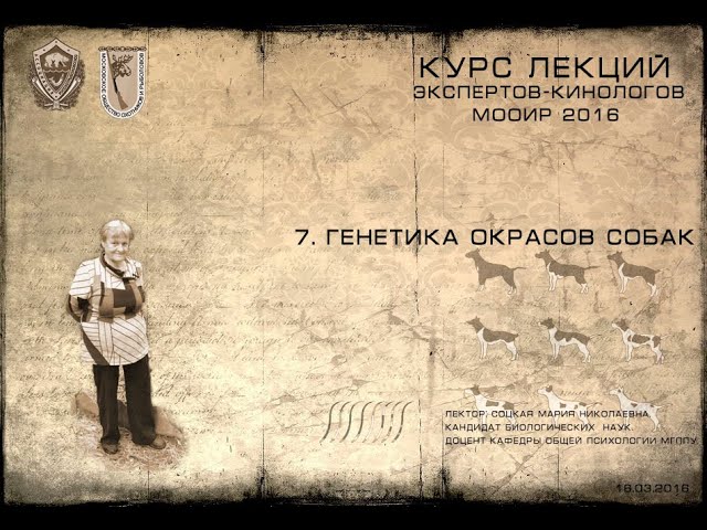 Генетика окрасов собак для чайников