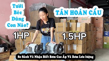 0937936.066 - So sánh và nhận biết máy bơm Lưu Lượng và máy bơm Áp cao Thương Hiệu Tân Hoàn Cầu
