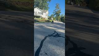 IMG 0766