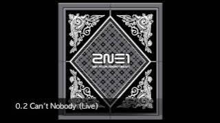 (Live) Fire, Can't Nobody, Let's Go Party - 2NE1 (NOLZA Concert)