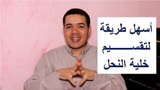 أسهل طريقة لتقسيم النحل ونصيحة لشراء ملكات ملقحة