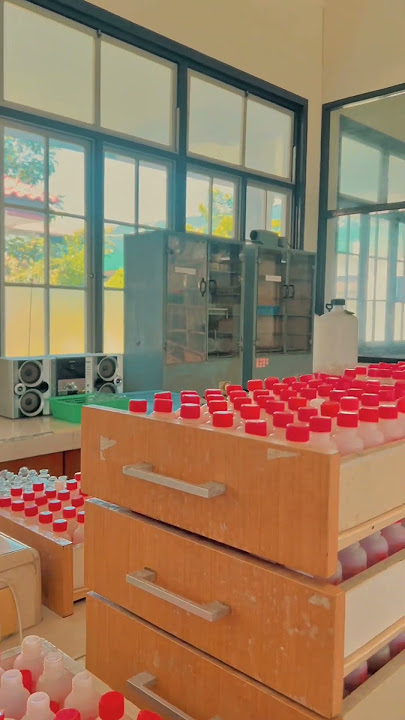 IOPRI's Laboratory Wes Anderson Style #WesAnderson #WesAndersonStyle #WesAndersonTrend #Shorts