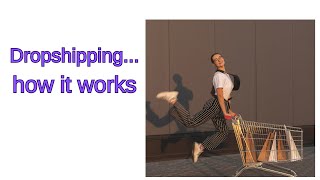 How to MAKE MONEY with  DROPSHIPPING (2024 Beginners Guide) screenshot 1