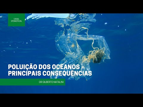 Poluição dos oceanos – principais consequências