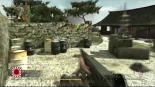 Famous Call of Duty World At War Beta - Team Deathmatch Dos (SVT-40) Net Worth