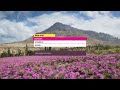 Forza Horizon 5 PC Settings & Controls