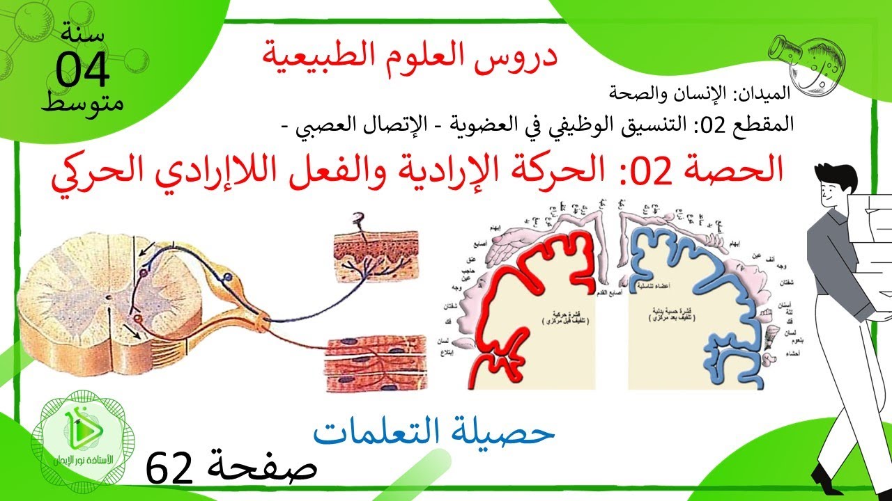 حصيلة تعلمات درس الحركة الإرادية والفعل اللاإرادي  - الفرق بينهما - صفحة 62 علوم طبيعية سنة 04 متوسط
