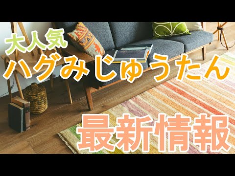 The latest information on the popular brand of carpets, 