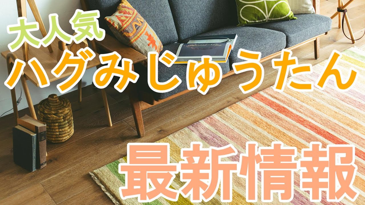 人気ブランドじゅうたん『ハグみじゅうたん』の最新情報！永遠に使える天然素材じゅうたんがより選びやすくなったので紹介します！