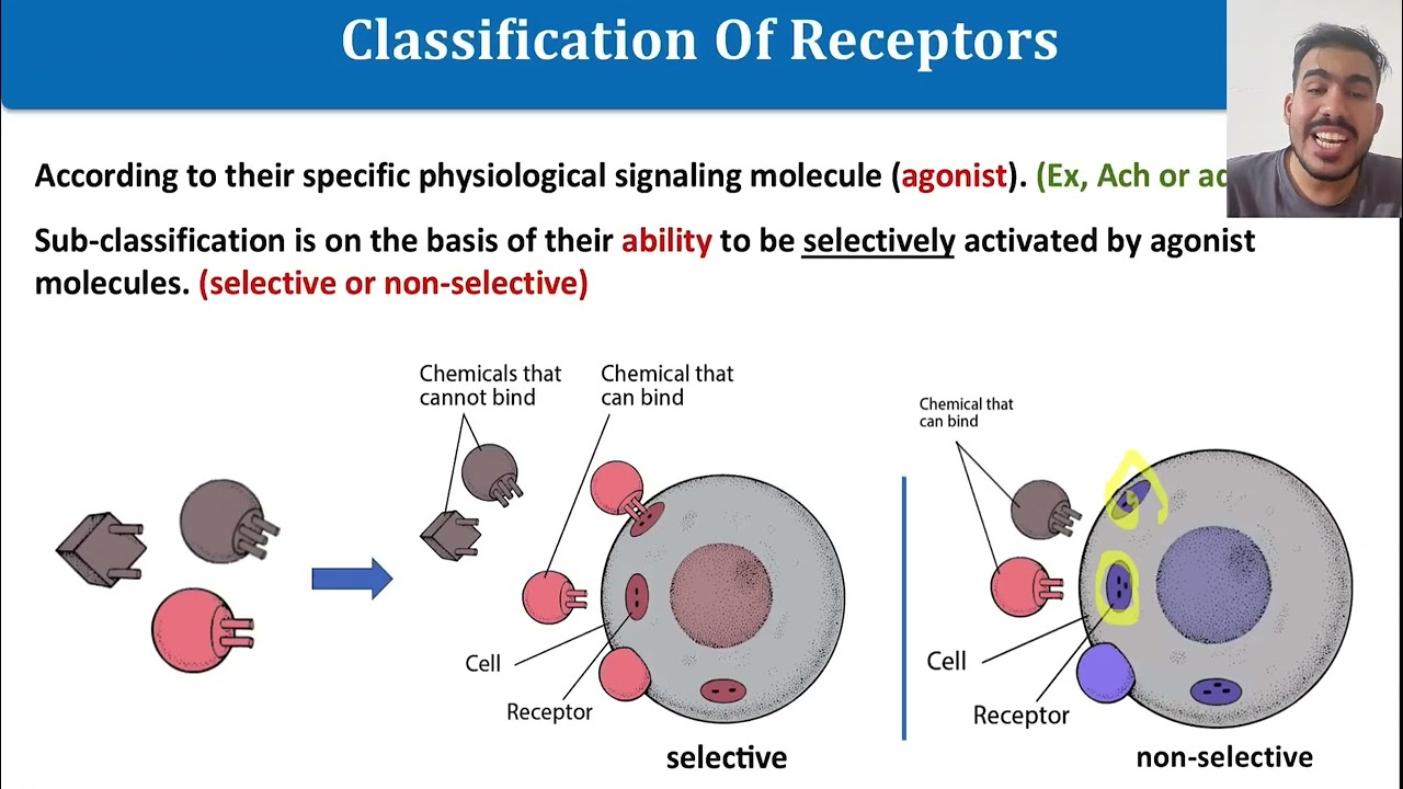 L11 || RECEPTORS IN CELL SIGNALING || PART2