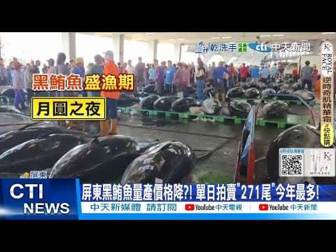 【每日必看】屏東黑鮪魚量產"價格下降"?! 百萬鮪魚車.魚體盛吸睛 20250516
