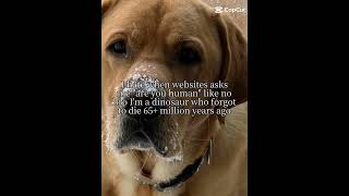 like vro #extinctanimals #dinosaur #dog #page #cute