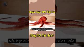 Bạch Tuộc Mất Xúc Tu Sống Sót Thế Nào?