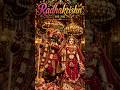 Radhe Radhe 🌸🦚 Radha Krishna Reels #bhajan #radhakrishna #krishna #shorts