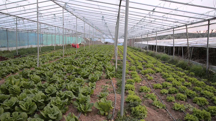 Aquatag - More Crop per Drop, Soil sensors for small-scale farms