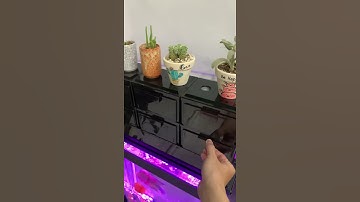 Lọc tràn mưa, lọc tràn trên