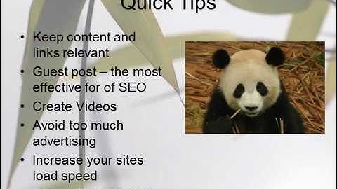 Panda SEO Recovery Tips