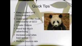 Panda SEO Recovery Tips