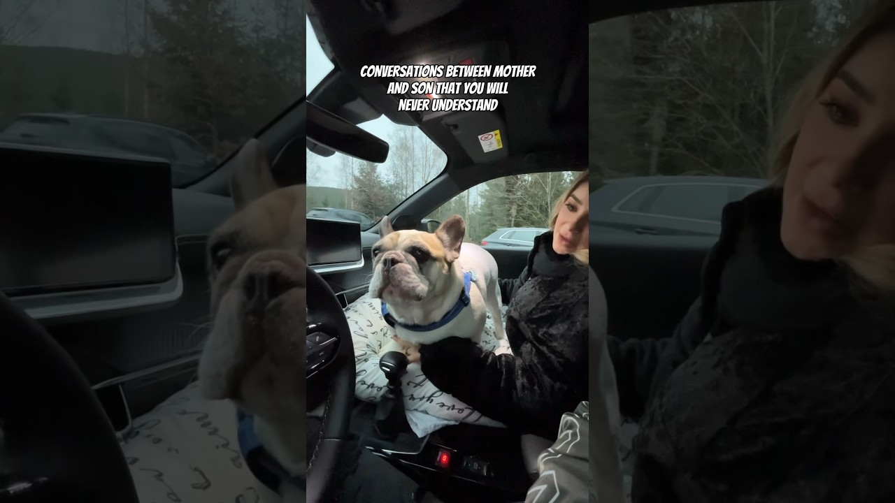 Conversations between mother and son that you will never understand #dog #funny #mom