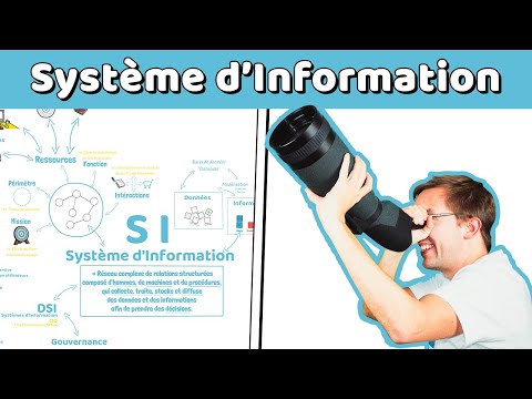 Vidéo: Quels sont les systèmes organisationnels ?