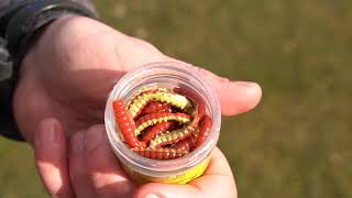 Berkley Powerbait Honey Worm 2021