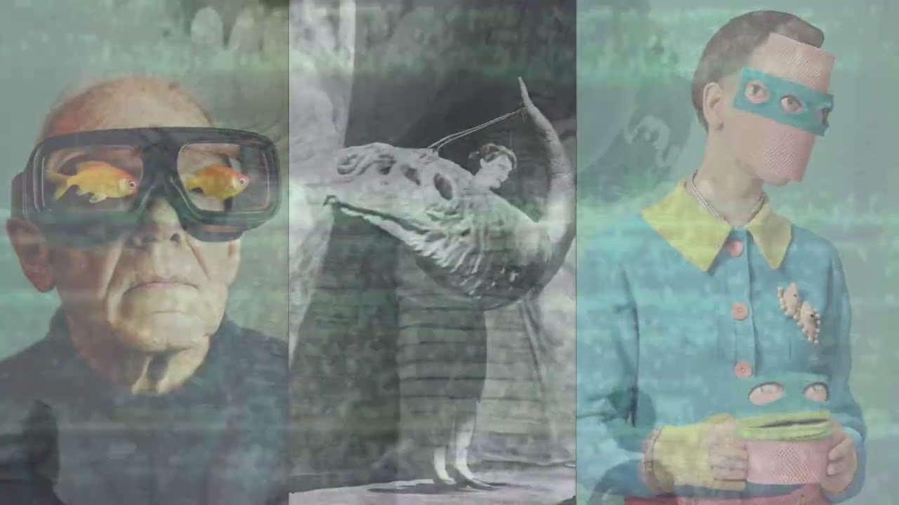 Air Emancipator of Bonobo