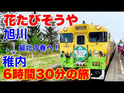 旭川→稚内】行こう、最北の春へ！2024年 花たびそうや号 旭川から稚内