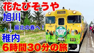 【旭川→稚内】行こう、最北の春へ！2024年 花たびそうや号 旭川から稚内まで6時間30分の旅