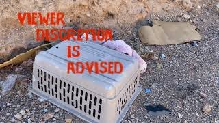 Warning Viewers Discretion Is Advised Found The Pit Of Death