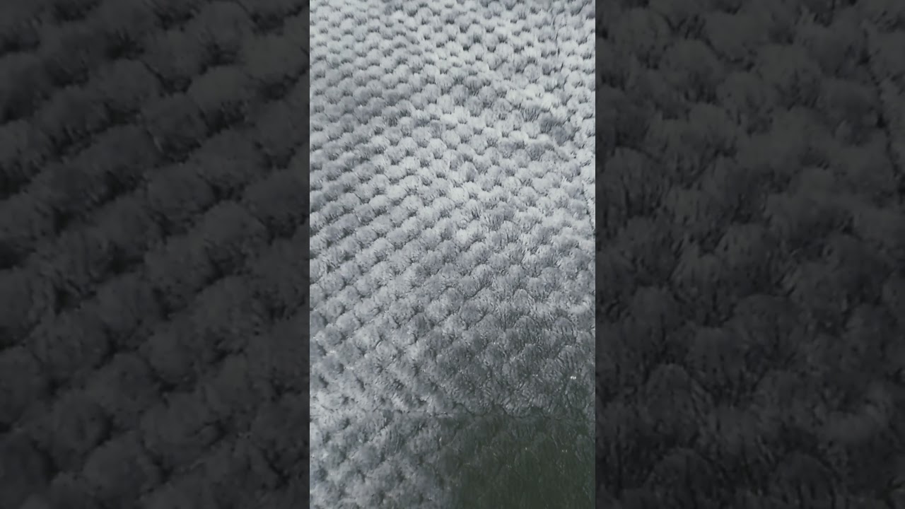 Black or Pink Sherpa Comforter? 