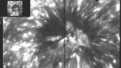 Close up of a Sunspot with Alfven Waves