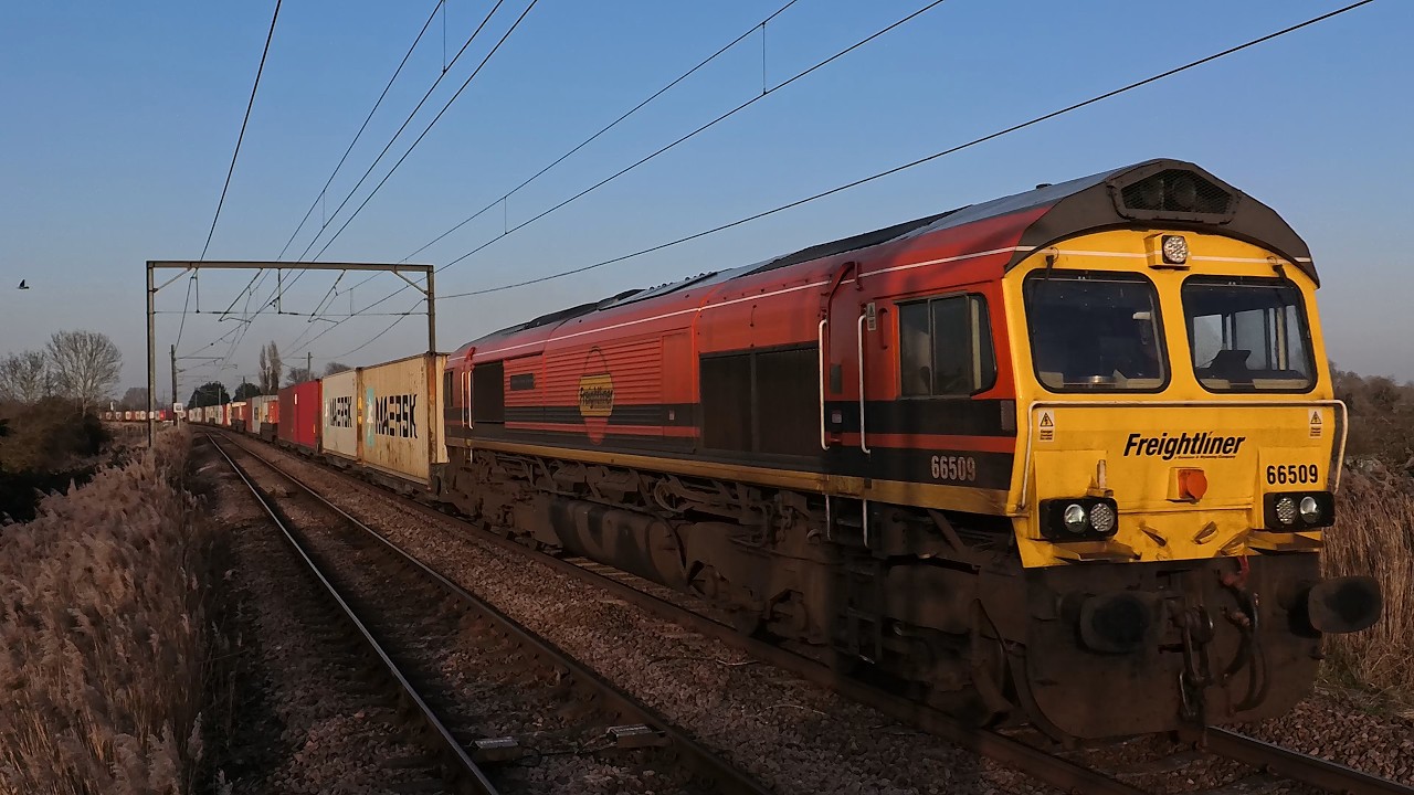 Freightliner 66509 - 4L73 Tinsley Intermodal Term to London Gateway Frghtliner on 05.03.2026